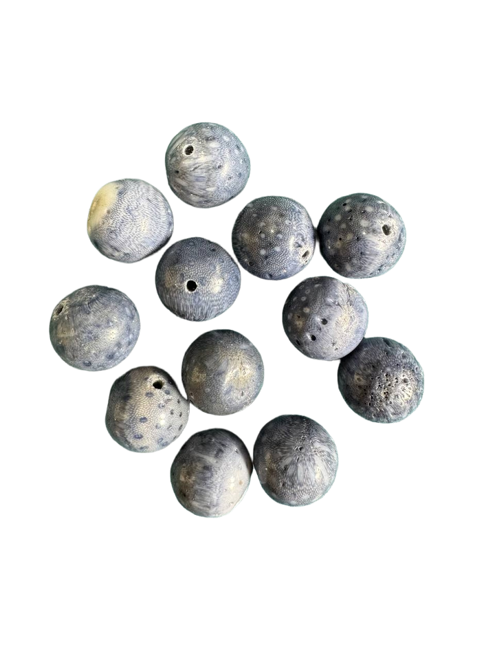 Голубой коралл